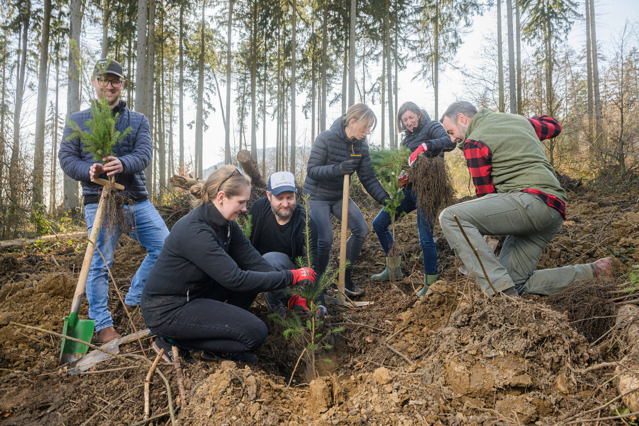 19.03.26 WWW.SCHEFFEN.DE

Continental 
Baumpflanzaktion  mit dem Förster im Forst bei Springe

Foto: 
HENNING SCHEFFEN PHOTOGRAPHY
MOBIL: 00491773193050
WWW.SCHEFFEN.DE
HENNING@SCHEFFEN.DE
Friedrich-Engels-Str. 31
30880 Laatzen 
Region Hannover / Niedersachsen / GERMANY