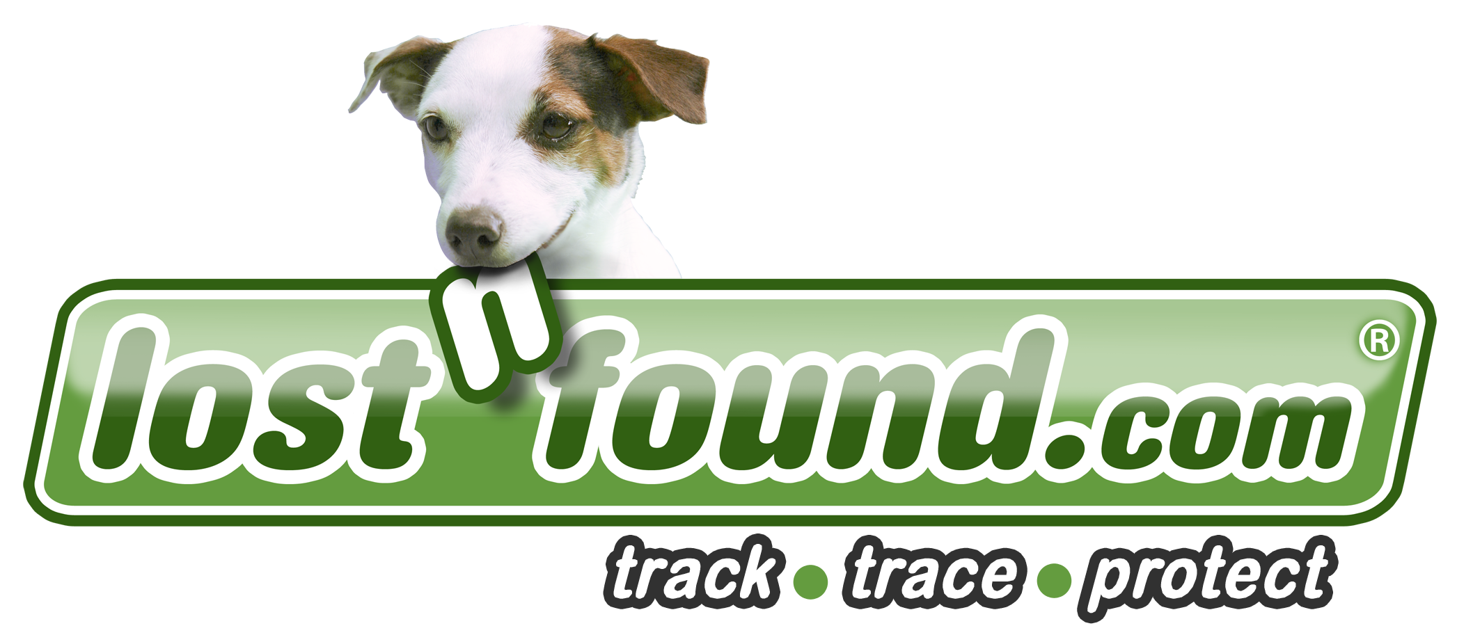 Lost n Found logo LOSTnFOUND