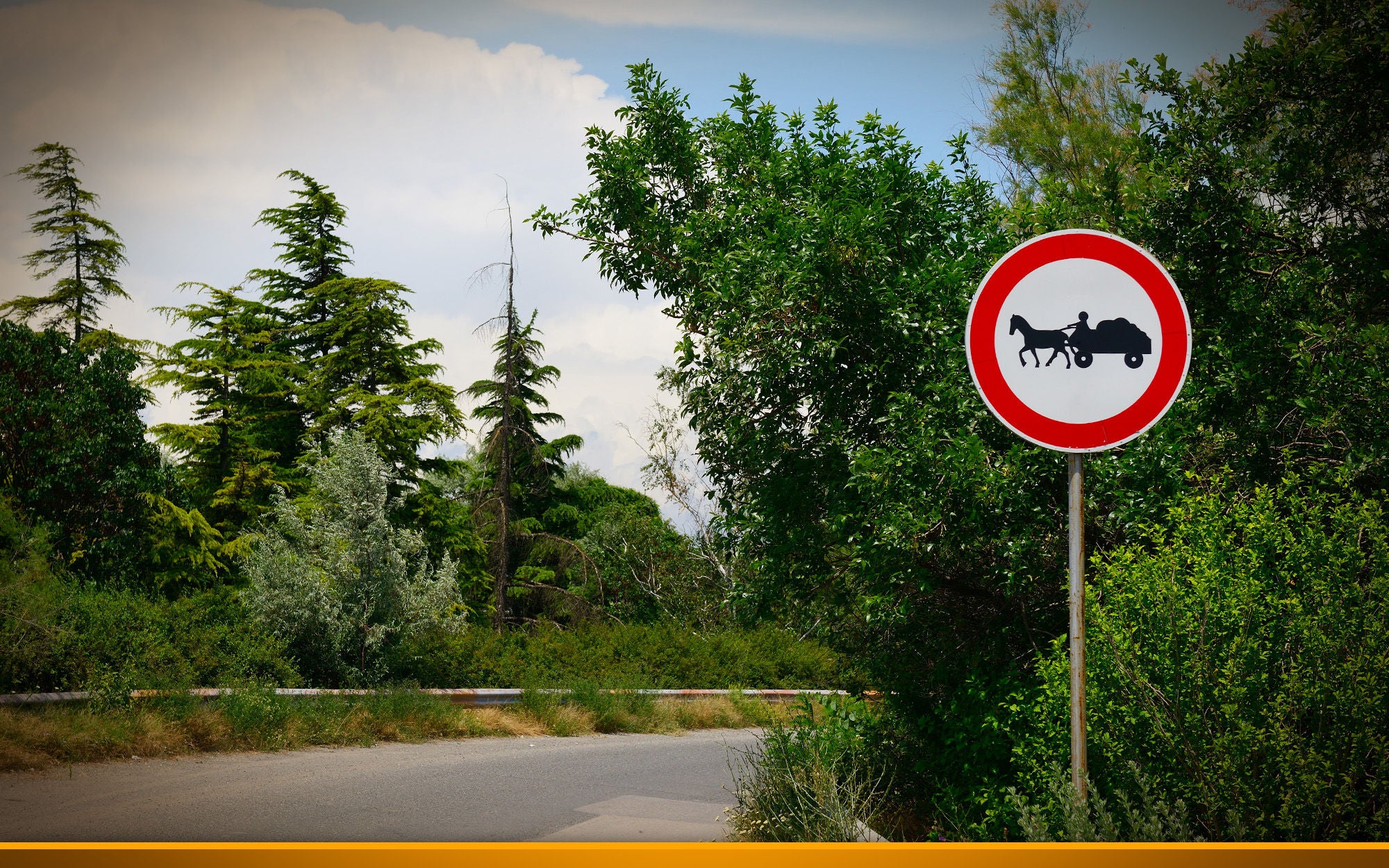 horse team sign next to a street
