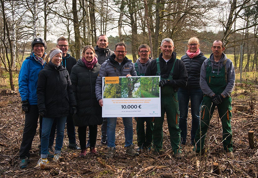Plant-My-Tree - Continental unterstützt die Aufforstung deutscher Wälder