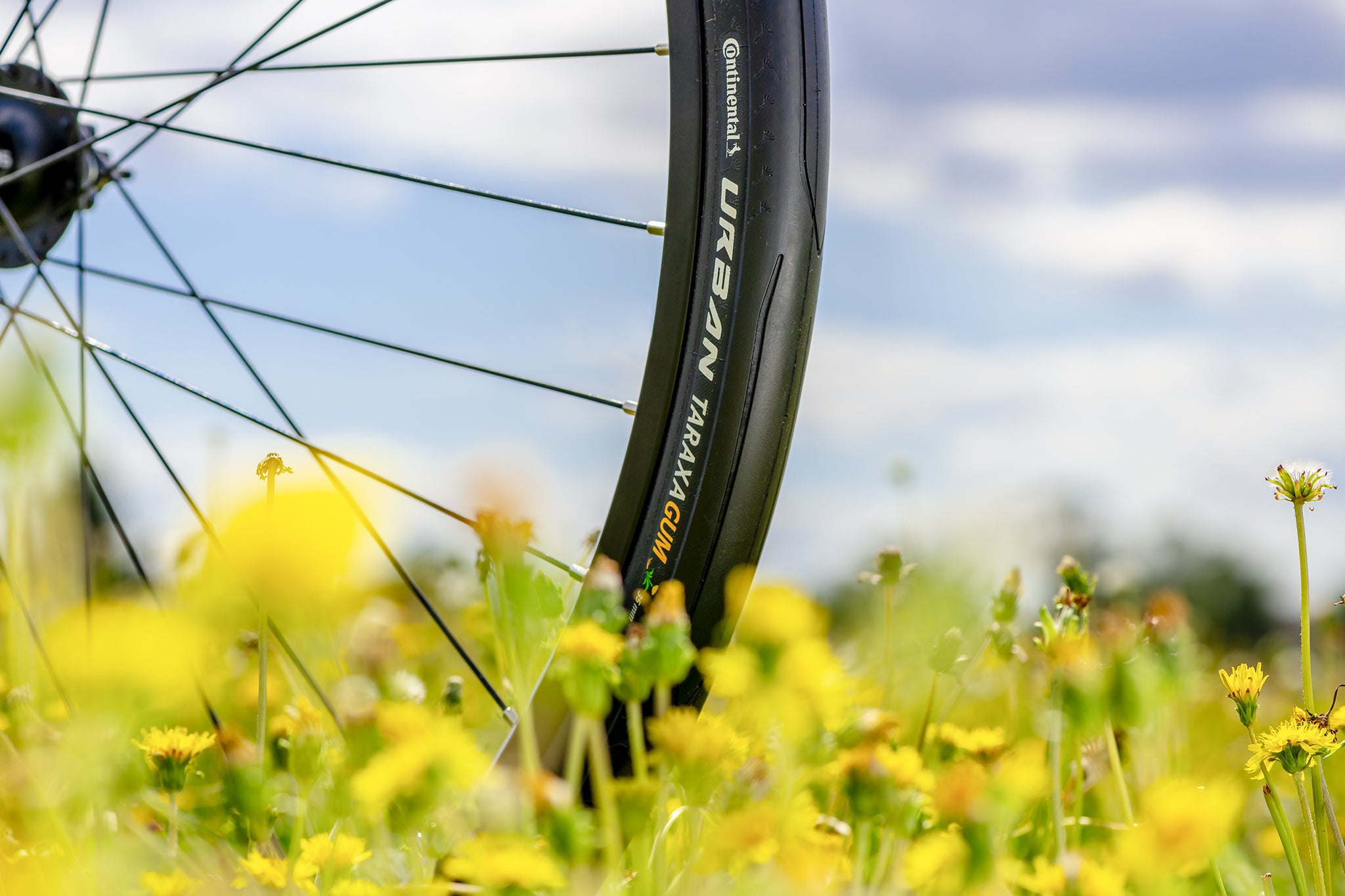 Urban Taraxagum Urban Taraxagum Tire