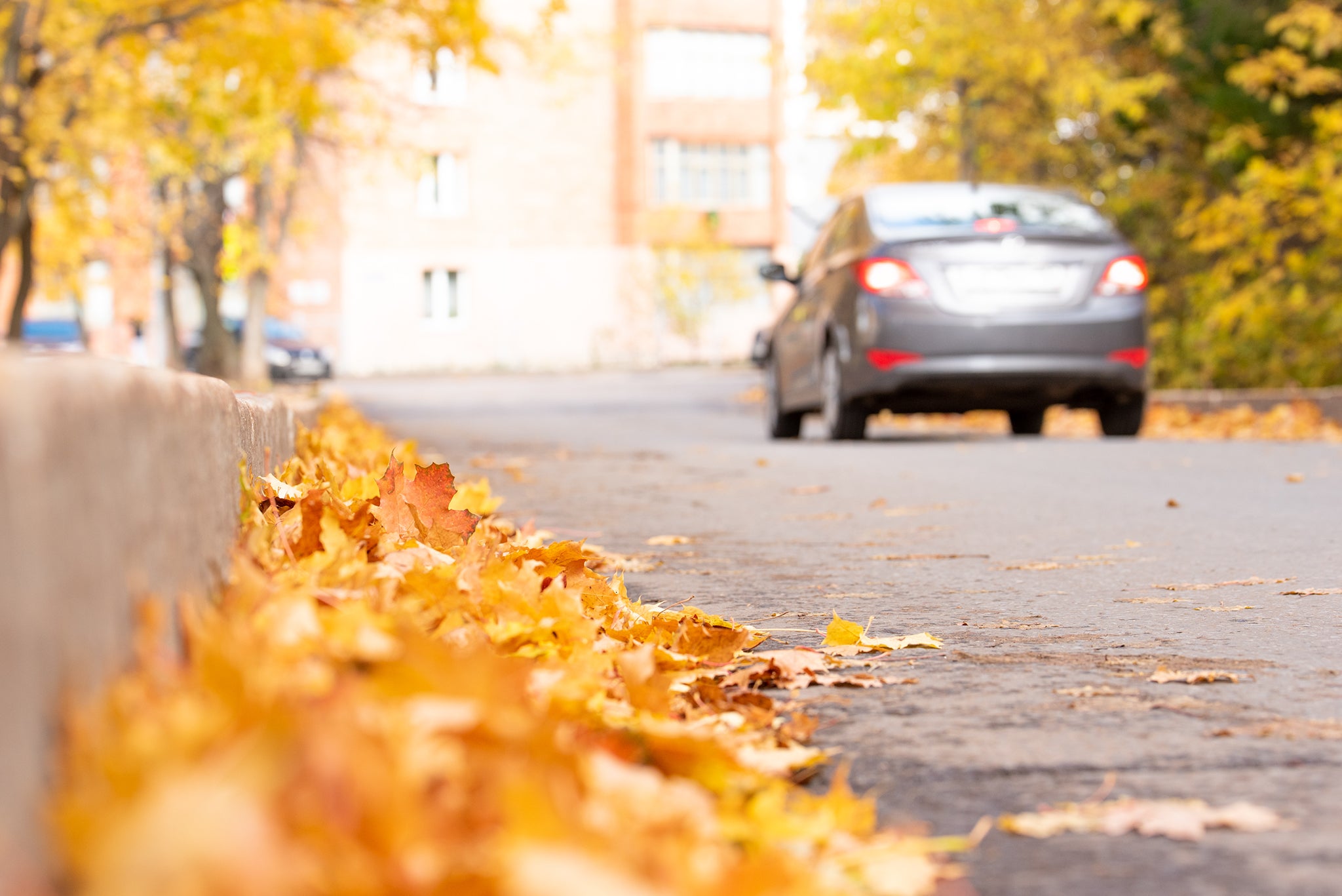 Tread Depth AS Car in Autumn