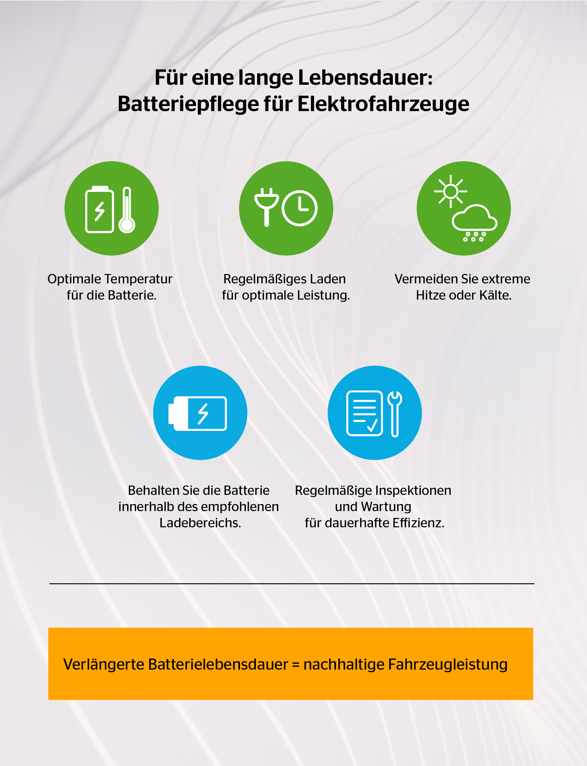 EV Battery tips