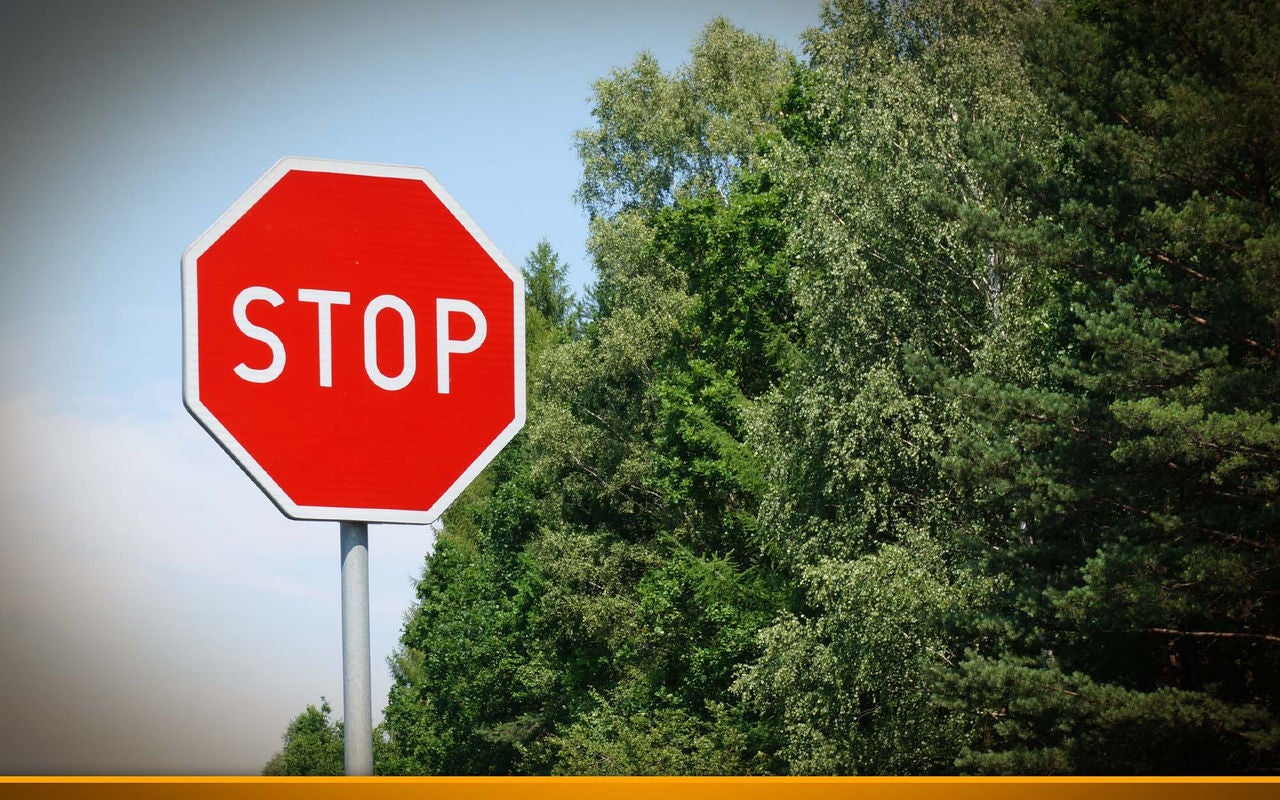 Stop Sign with some trees in the background