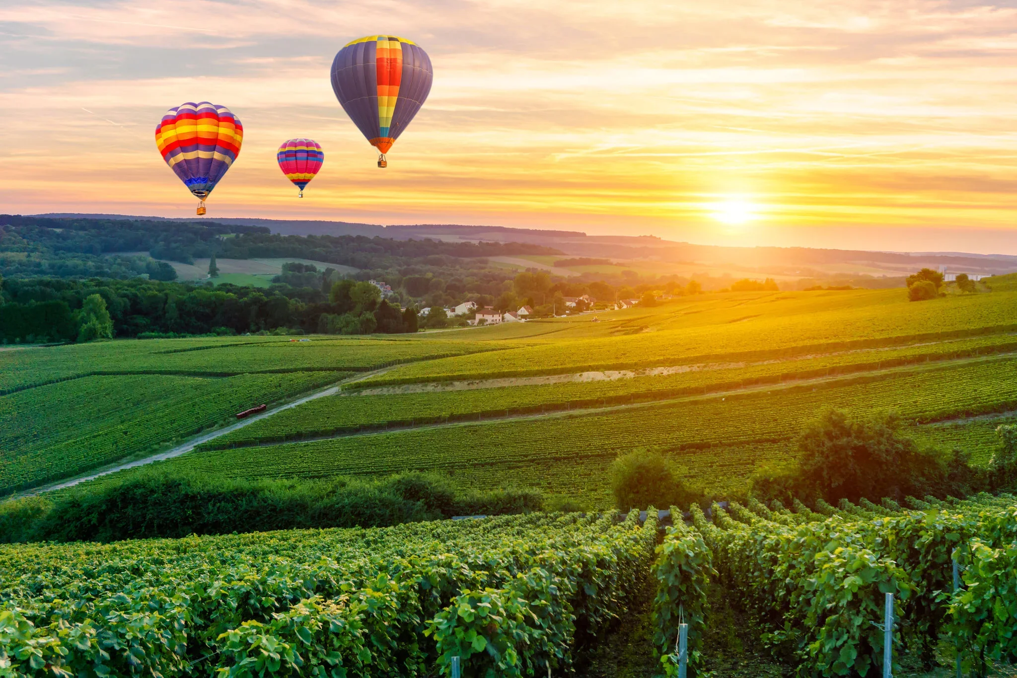 Heißluftballons über der Champagne
