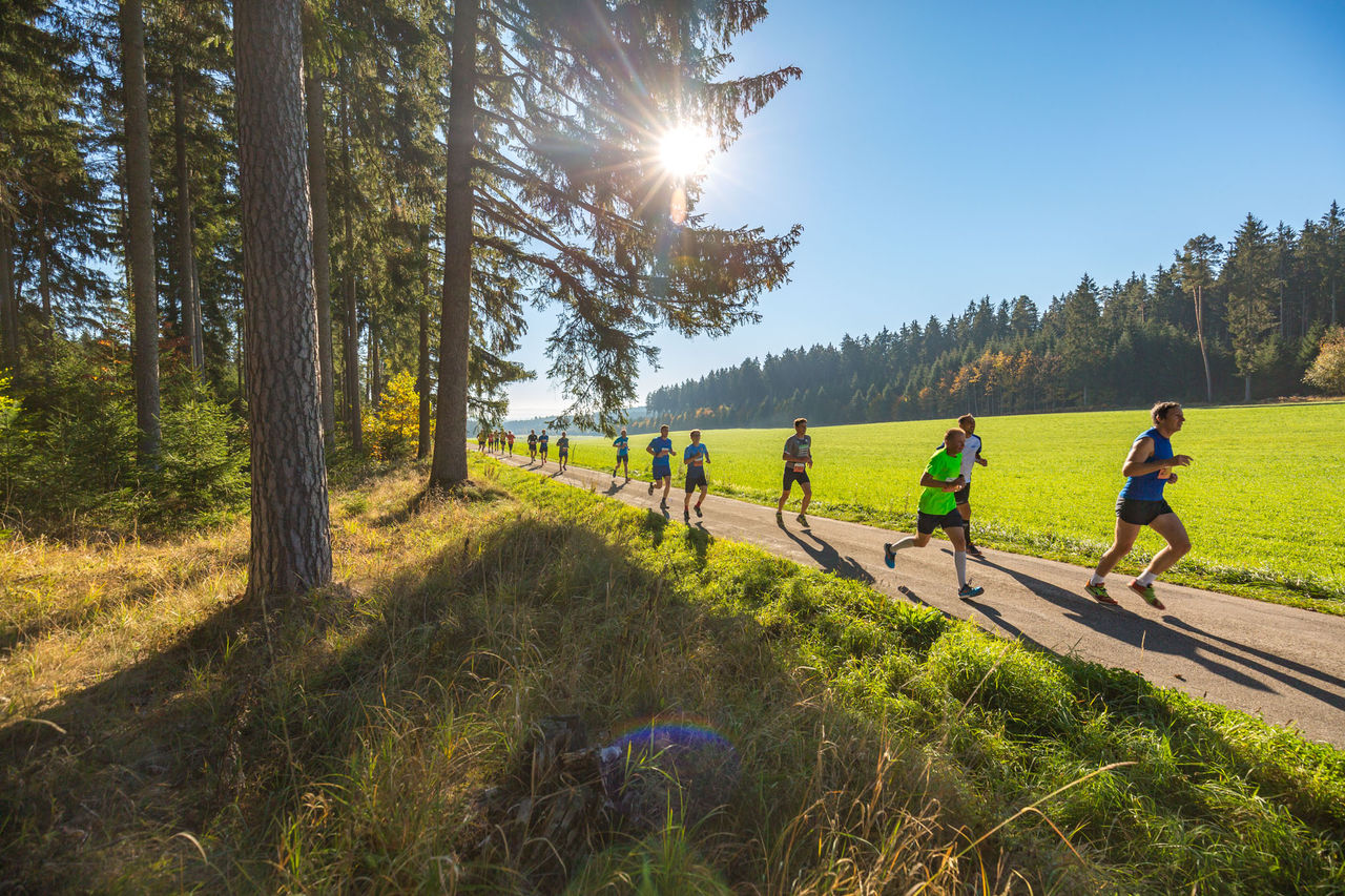 Bei dem grünen Marathon im Schwarzwald verlaufen 80 Prozent der Strecke durch den Wald.