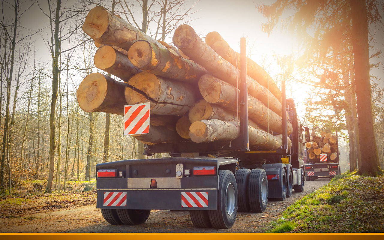 Truckerin, Holzspalterin, Bürokraft in einer Person - und Mutter: Wie funktioniert das?