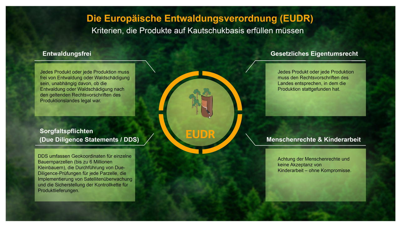 EUDR und der Kampf gegen die Entwaldung