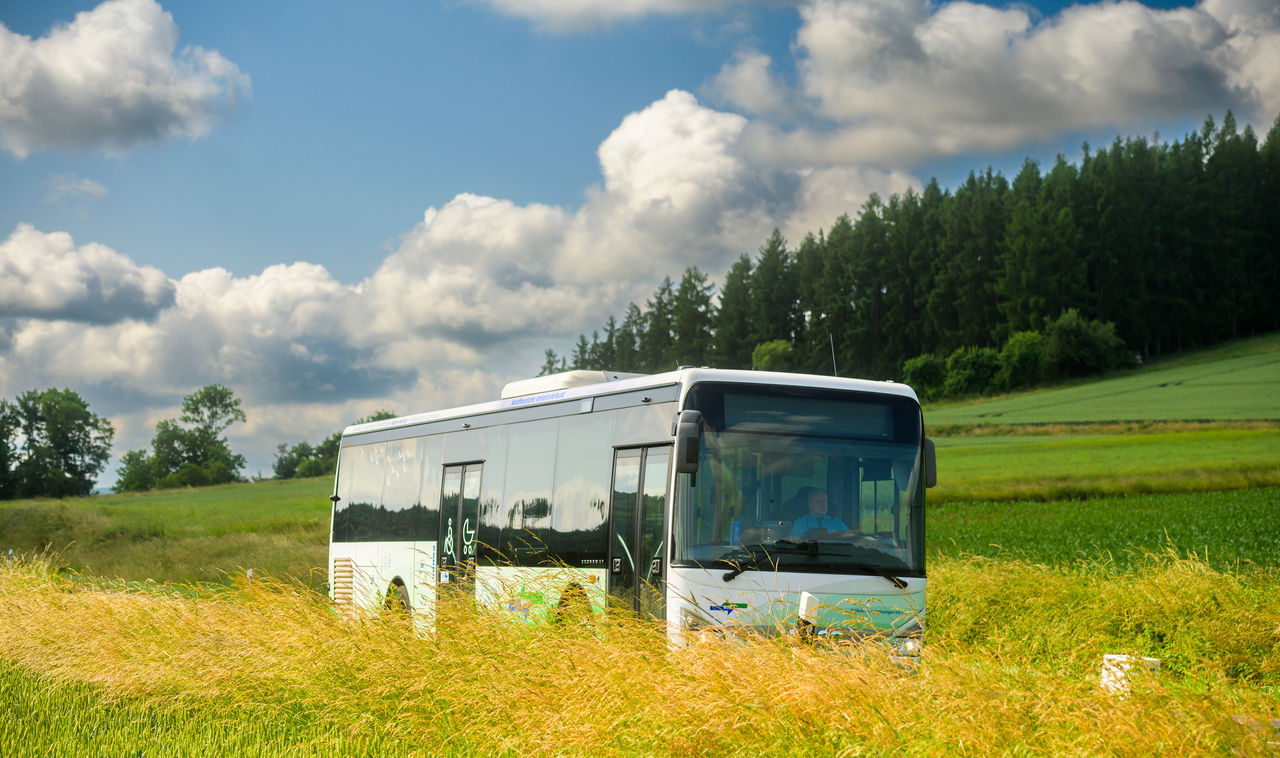 Bus in Natur