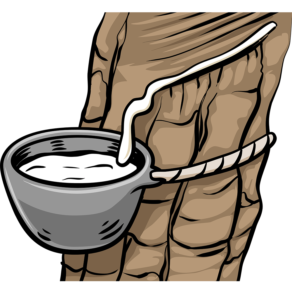 Naturkautschuk aus verantwortungsvollem Anbau