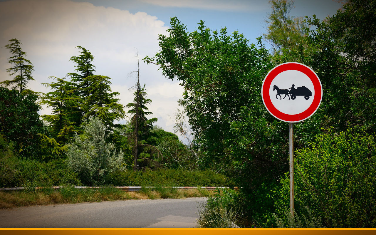 horse team sign next to a street