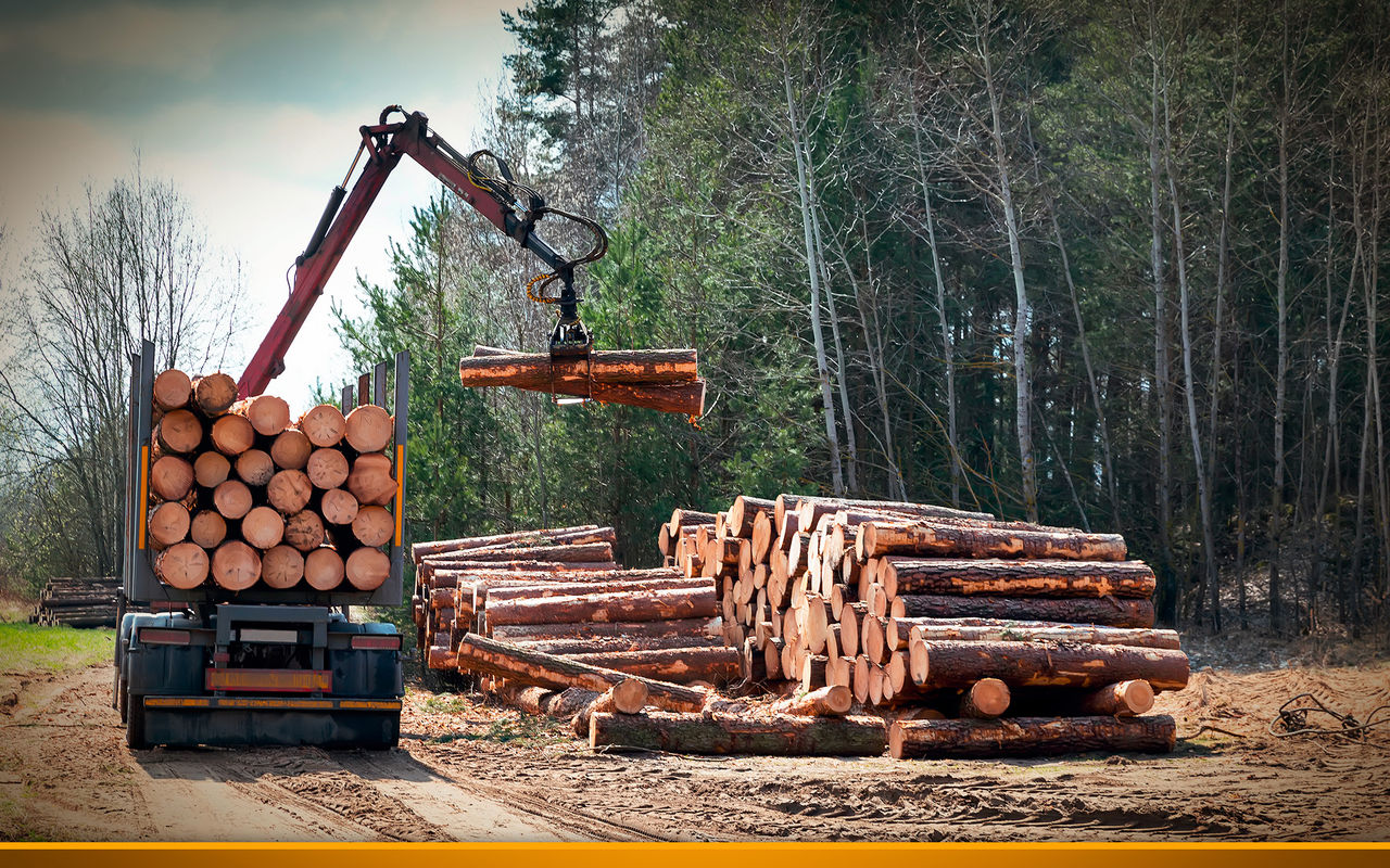 truck loaded with wood