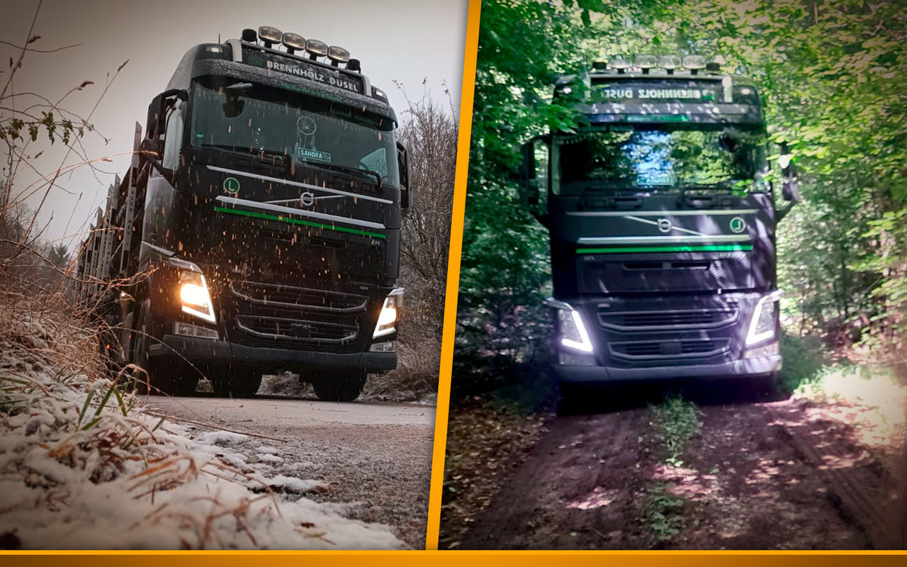 truck loaded with wood