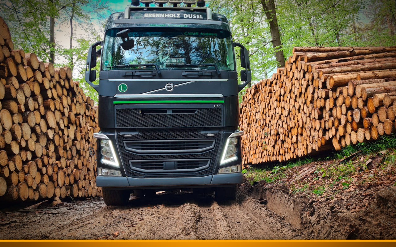 truck loaded with wood